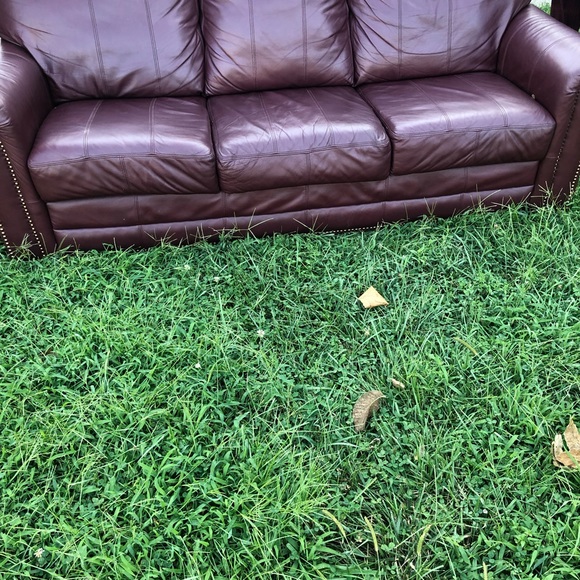 Beautiful leather - Picture 3 of 4